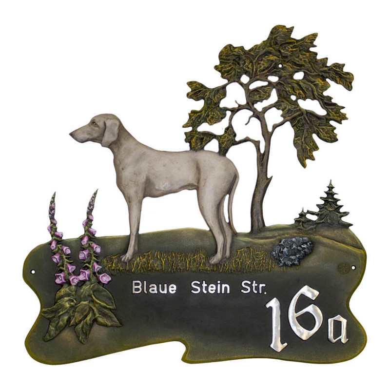 Weimaraner