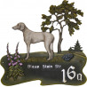 Weimaraner