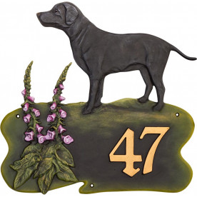 Labrador