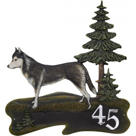Siberian Husky