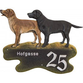 Labrador