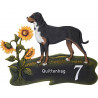 Schweizer Sennenhund