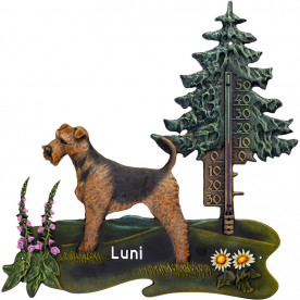 Welsh Terrier