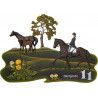 Dressurreiterin & Trakehner