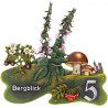 Foxglove and Mushroom