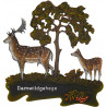 Damwild mit Kalb