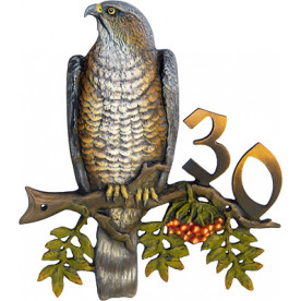 Hawk