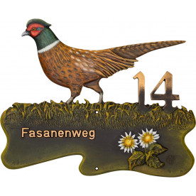 Fasan