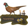 Pheasant