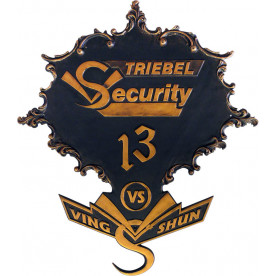 Logo Security