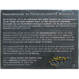 Gedenktafel Feuersalamander