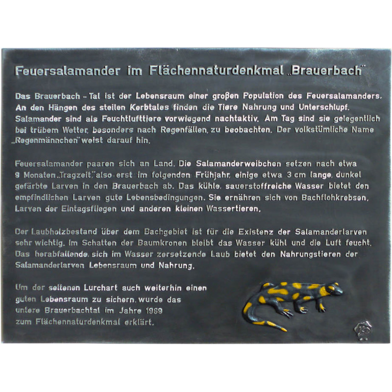 Gedenktafel Feuersalamander