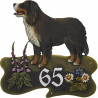 Berner Sennenhund